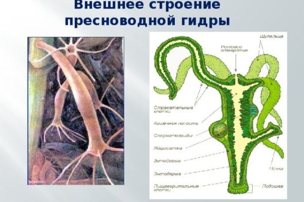 Как попасть на сайт кракен