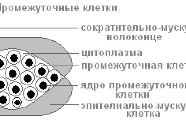 Не заходит на кракен